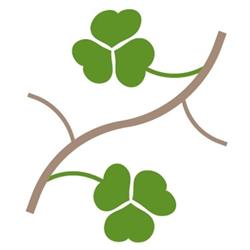 Naturskolerne i Rude Skov og Raadvad