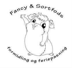 Fancy