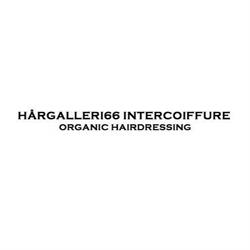 Hårgalleri66 Intercoiffure