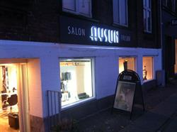 Salon aysun