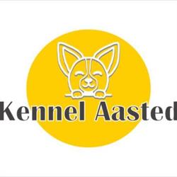 Kennel Aasteds