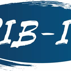 RIB-IT ApS