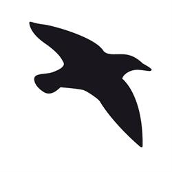 Starling Air