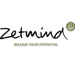 ZetMind