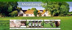 Mosedamgaard