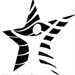Viborg Elite