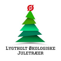 Økologiske juletræer fra Lygtholt