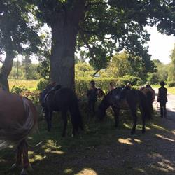 Turridninglangeland ved Helle Tofte