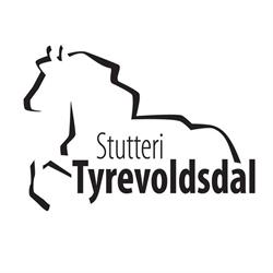 Tyrevoldsdal Islandsheste
