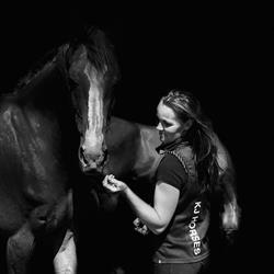 KJ Horses