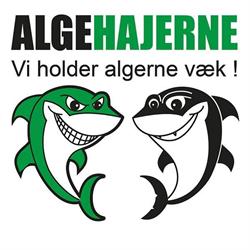 Algehajerne