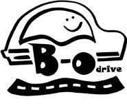 Bodrive køreskole