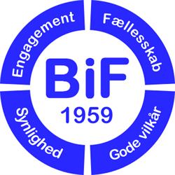 Bjerringbro IF - Fodbold
