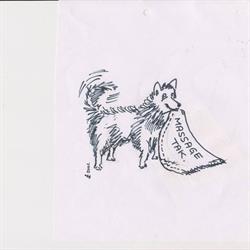 Kibaji - Velvære til hund