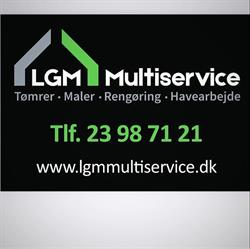 LGM multiservice