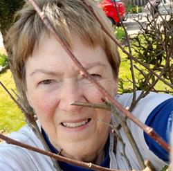 Birthe’s Multiservice