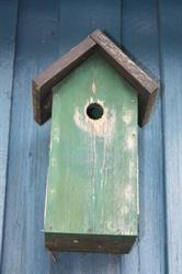 Huset Scheving