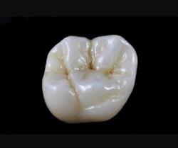 Dental Laboratorium ApS