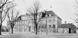 Institut for idræt