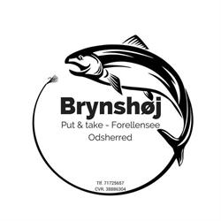 Brynshøj Put & Take
