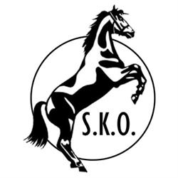 Klarup Rideskole