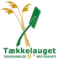 Tækkelauget