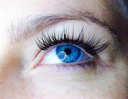 Lashtastic