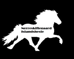Nørreskiftegaard Islandsheste