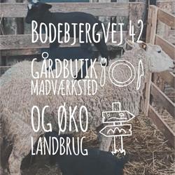 Bodebjergvej 42