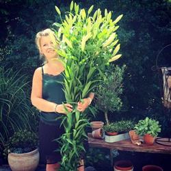 Nannas Blomster & Kreationer