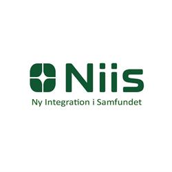 Niis Ny integration i samfundet