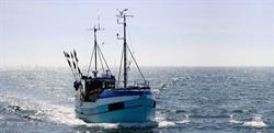 Fiskehallen Tvilling A/S