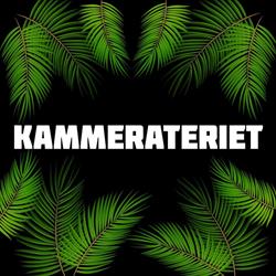 Kammerateriet på Svendborg Havn