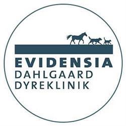Evidensia Dahlgaard Dyreklinik