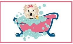 Tines Hundesalon