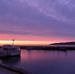 Autocamperplads - Marselisborg havn