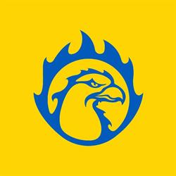 Odense Esport