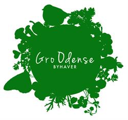 Gro Odense Byhaver