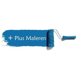 Plus Maleren