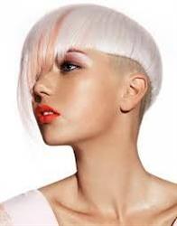 V. I. P. Hair Construction