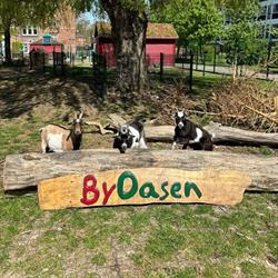 ByOasen