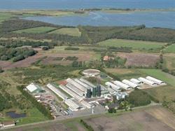 Protekta Farms
