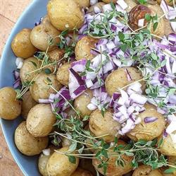 Jeanette's Cuisine v/ Jeanette Kaasgaard