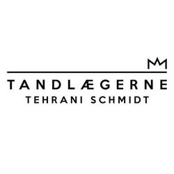 Tehrani Schmidt