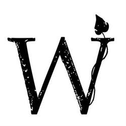Wonder Studios