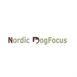 Dogfocus