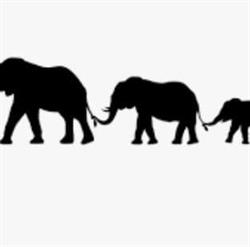 Elefant Apoteket Jyderup