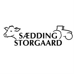 Sædding Storgaard