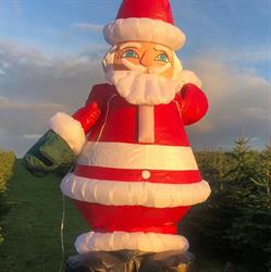 Kjærs Juletræer