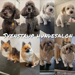 Svenstrup Hundesalon
